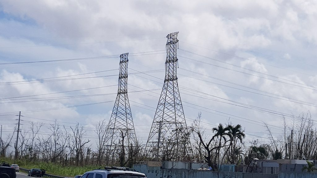 An example of electrical infrastructure that withstood Hurricane María. Photo by Ismael Pagán-Trinidad.
