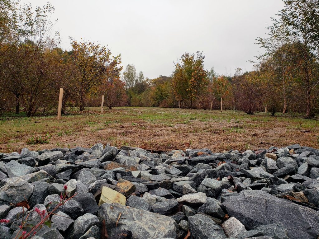 At the end of Andrill Terrace, directly north of downtown Charlotte off of Interstate 77, the county bought out a cul-de-sac in an older neighborhood. It’s one of the county’s oldest buyout and reforestation programs.